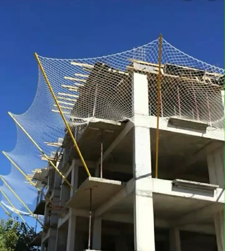 Miyav Kedi Filesi
